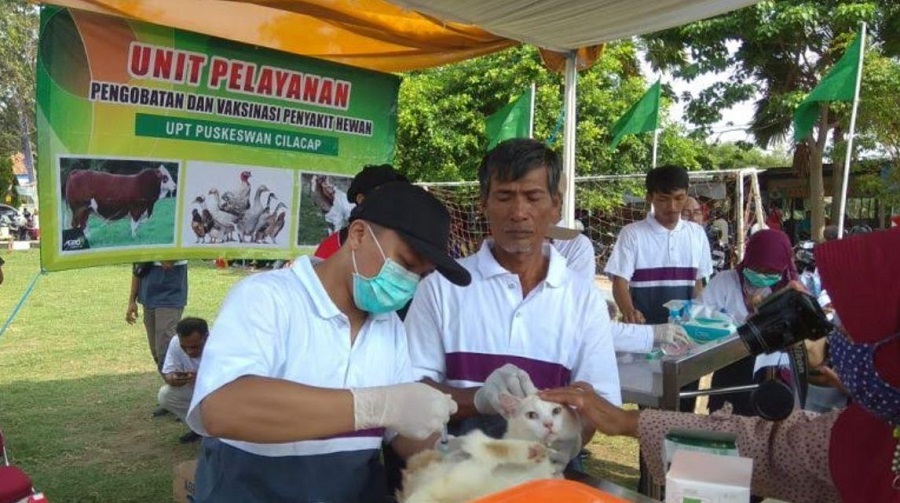 VAKSINASI : Petugas medis Dinas Pertanian memberikan pelayanan vaksinasi gratis guna mencegah rabies.