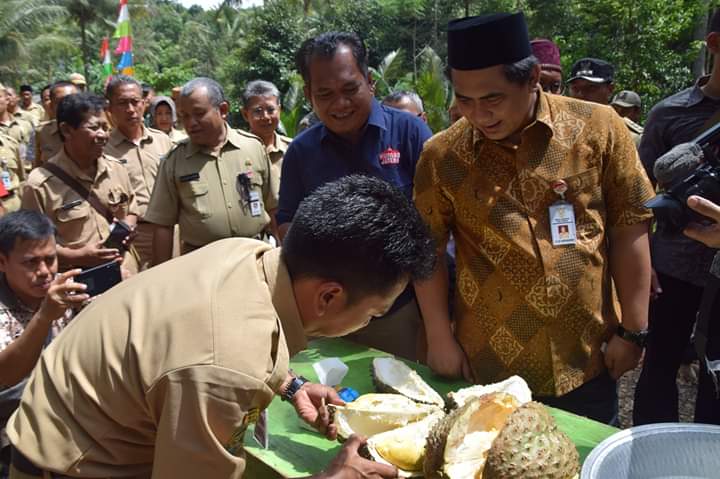 Wakil Gubernur Jawa Tengah Taj Yasin Maimoen melihat Durian Kromo di Desa Karangsalam, Kecamatan Kemranjen, Kabupaten Banyumas, Senin (13/1).