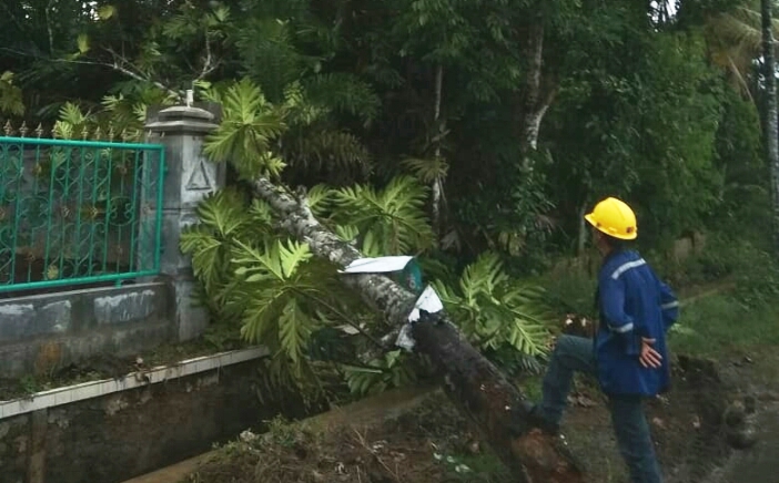 EVAKUASI : Petugas PLN melakukan evakuasi pohon tumbang dan perbaikan jaringan listrik di Jalan Desa Salebu Kecamatan Majenang, Rabu (22/4)/TASLIM INDRA