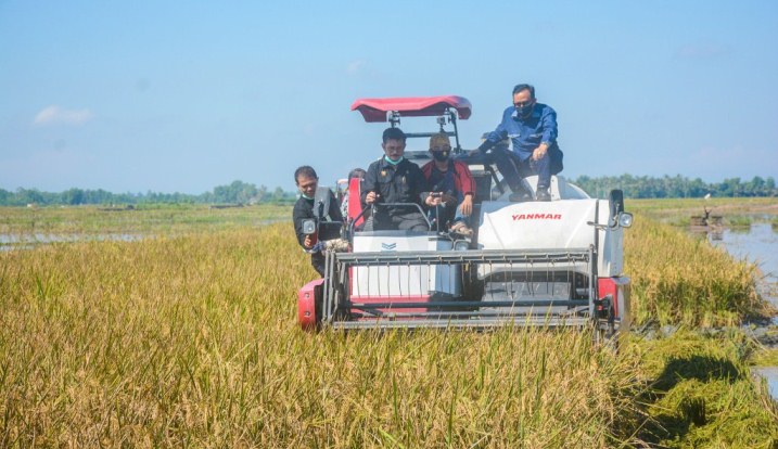 Bupati Cilacap mendampingi Mentan memanen padi menggunakan Combine Harvester.