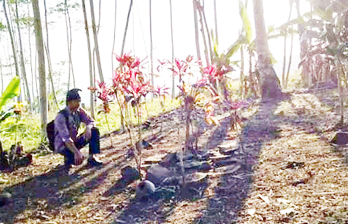 KERAMAT : Makam Keramat Ki Jagawani Pameungpeuk Desa Datar Kecamatan Dayeuhluhur, Minggu (14/6)/TASLIM INDRA