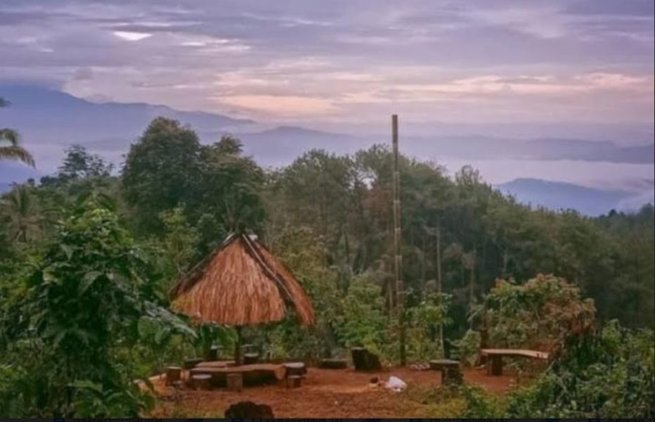 Potensi Kawasan Hutan Dilirik Menjadi Wisata Desa