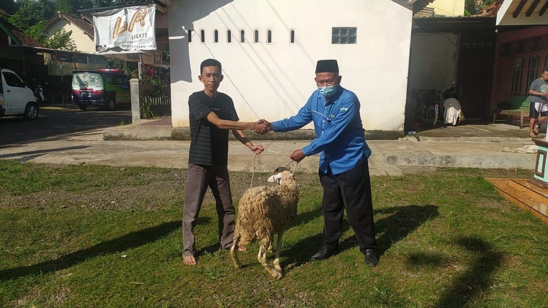 RSI Banjarnegara bagikan bantuan kambing