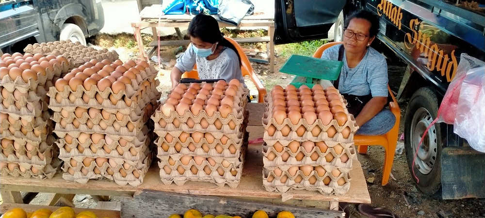 harga telur ayam naik